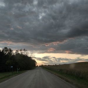 Meet your Posher, Lois